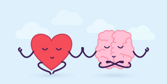 Heart and brain in harmony