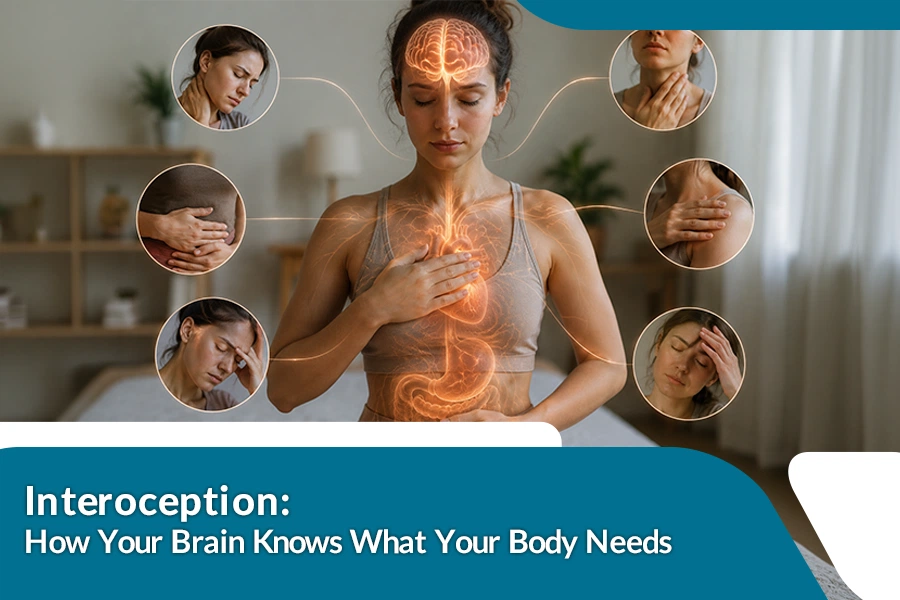 Interoception- How Your Brain Knows What Your Body Needs